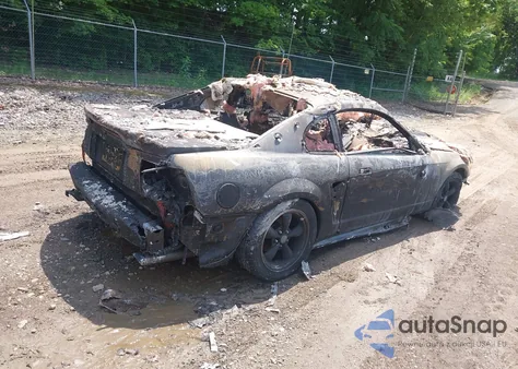 1999 Ford Mustang Gt z USA, uszkodzony, nr VIN 1FAFP42X0XF107621